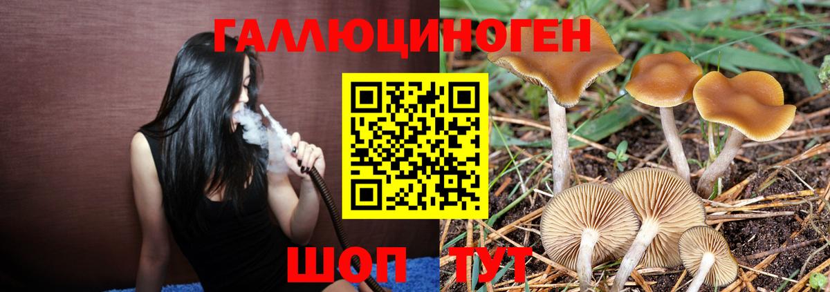Галлюциногенные грибы GOLDEN TEACHER  Вход с VPN  Архангельск 